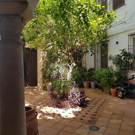 Casa Patio Los Suenos De Daury II กอร์โดบา ภายนอก รูปภาพ